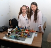 CONCURSUL DE ROBOTICĂ  FIRST LEGO LEAGUE JUNIOR
