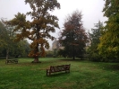 DE LA LAUDE-REUT LA OXFORD