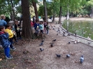 Plimbare in Parcul Carol
