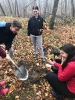 Voluntariat Comana 2019