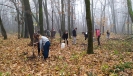 Voluntariat Comana 2019