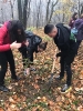 Voluntariat Comana 2019